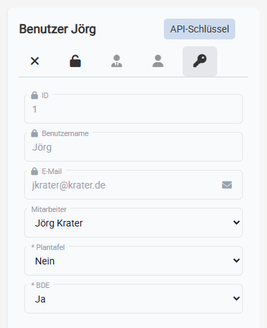 Screenshot of API Key Icon